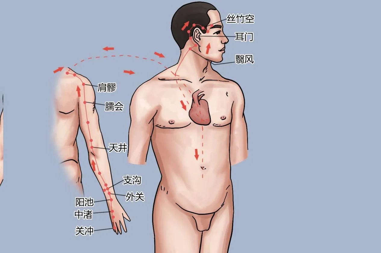 经络十二经脉图解