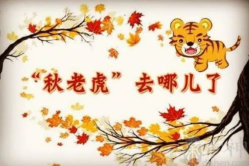 秋老虎是什么季节