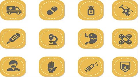 三七花的功效与作用