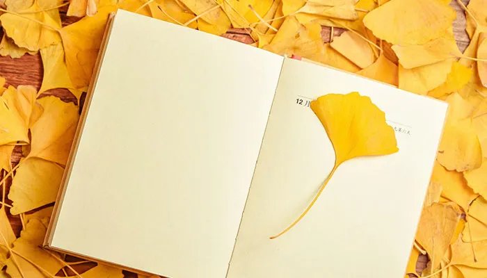 莫等闲的下一句 莫等闲的后面一句是什么