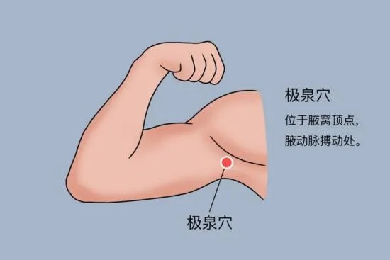 极泉的准确位置以及作用和功效