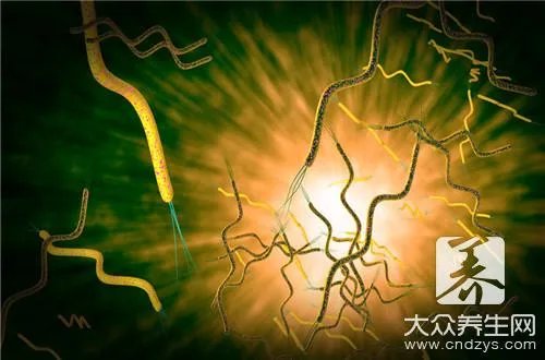 关于多粘菌素e，你知道多少？