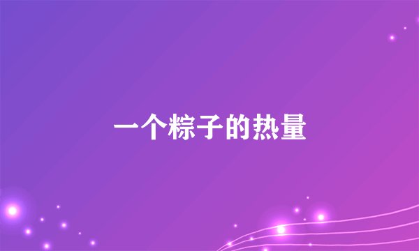 一个粽子的热量