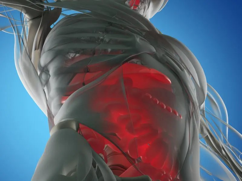 香砂养胃汤的功效