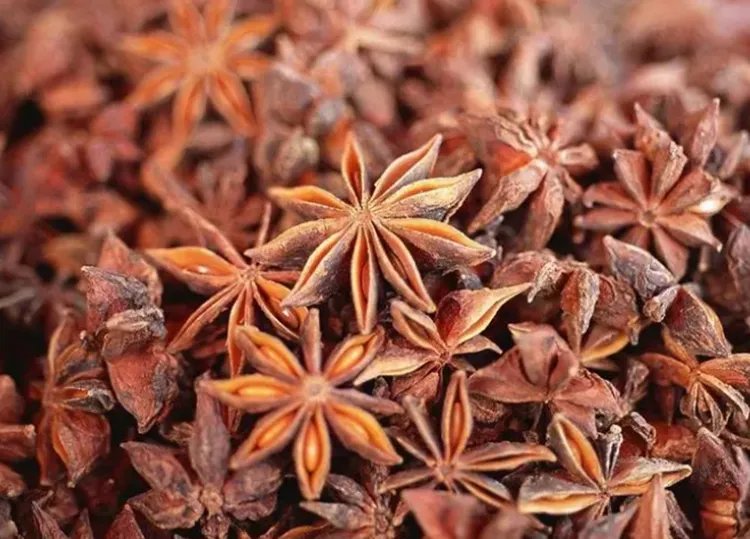 大茴香的功效与作用