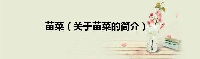 苗菜（关于苗菜的简介）