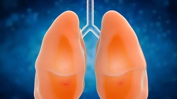 石家庄此次疫情呈现家庭聚集性特点 启动全市全员检测