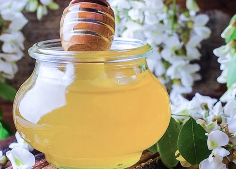 洋槐蜂蜜的作用与功效