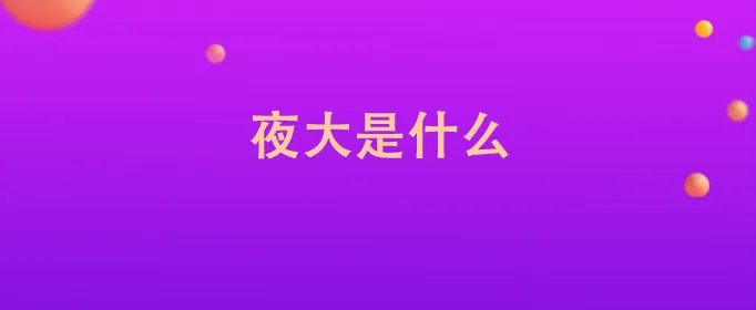 夜大是什么