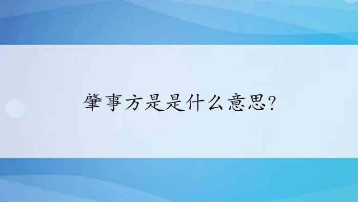 肇事方是是什么意思?