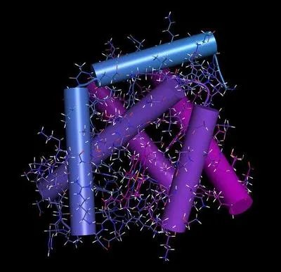 氨基葡萄糖盐酸盐的作用