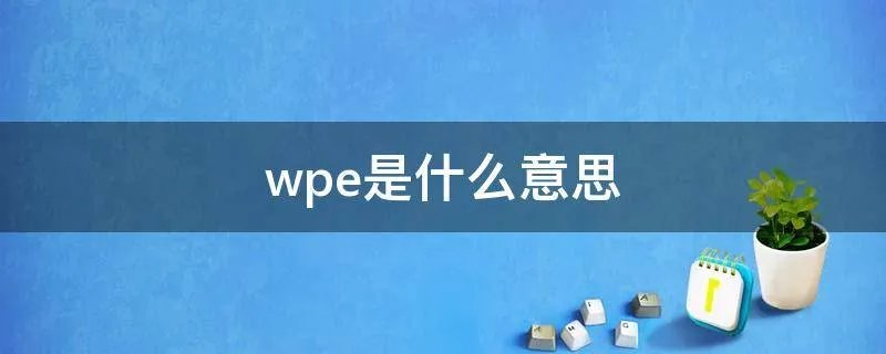 wpe是什么意思