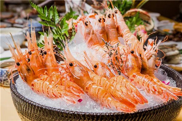 男人养肾最佳10食物