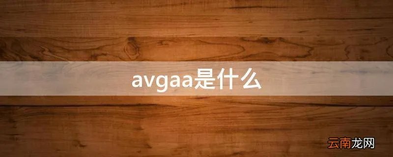avgaa是什么