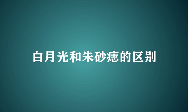 白月光和朱砂痣的区别