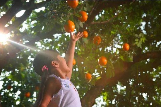 与幸福有关的名人名言