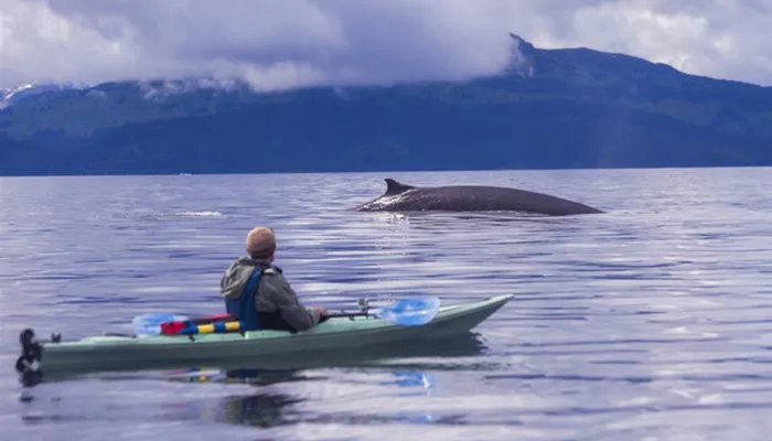 can是哪个国家的简称 can是哪里的简称