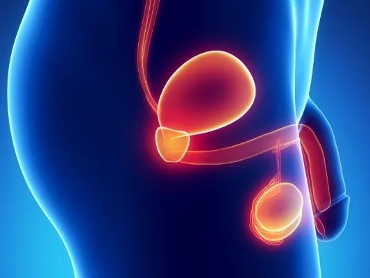 噻嗪类利尿剂是什么