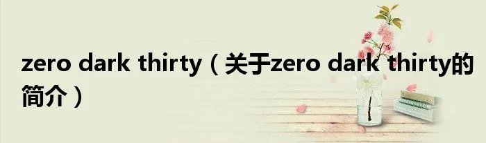 zero dark thirty（关于zero dark thirty的简介）