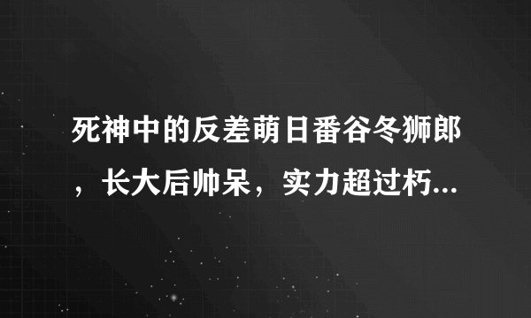死神中的反差萌日番谷冬狮郎，长大后帅呆，实力超过朽木白哉！