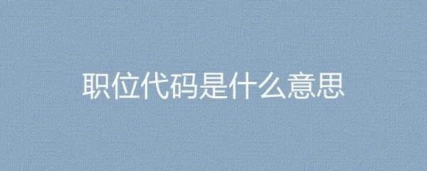 职位代码是什么意思