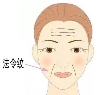 法令纹在什么位置