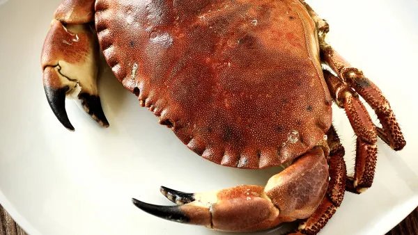 吃什么可以导致流产