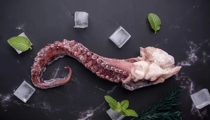 章鱼的血液是什么颜色