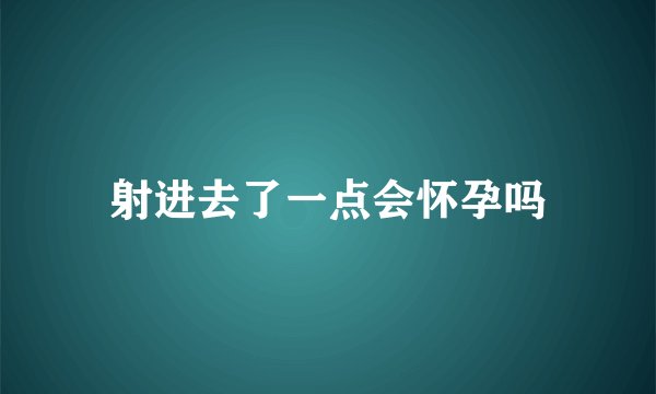 射进去了一点会怀孕吗