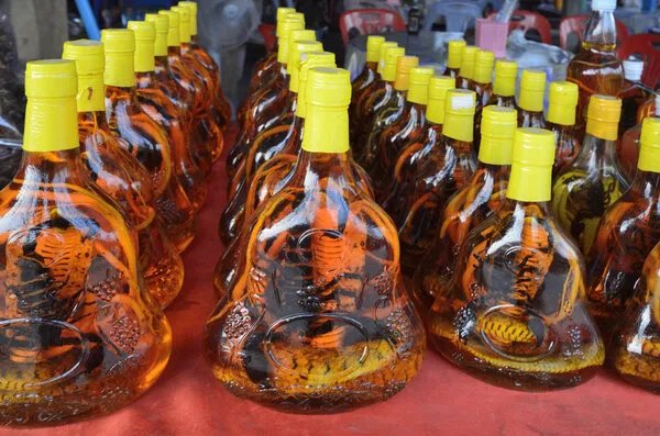 蛇酒怎么泡制方法