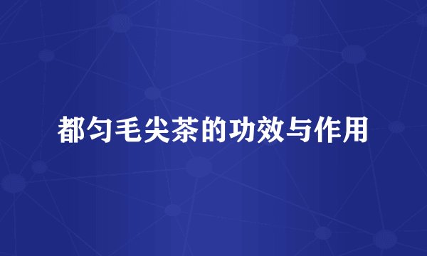 都匀毛尖茶的功效与作用