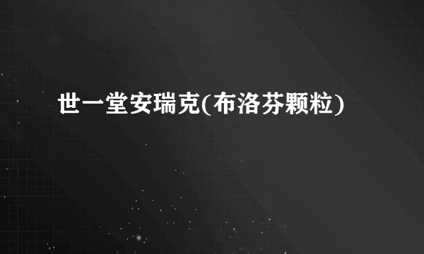 世一堂安瑞克(布洛芬颗粒)