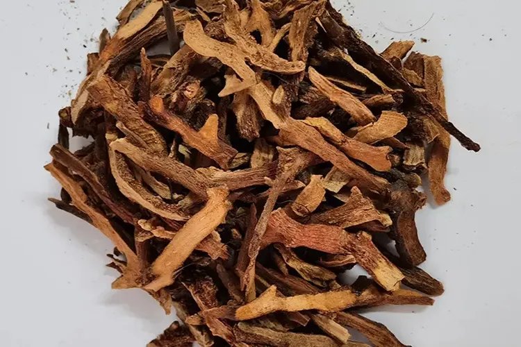 骨碎补的功效与作用图片