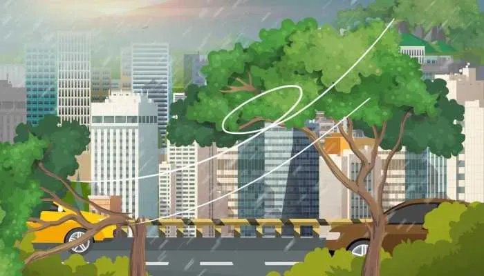 泉州台风网5号台风最新消息 全市停工停产停课休市