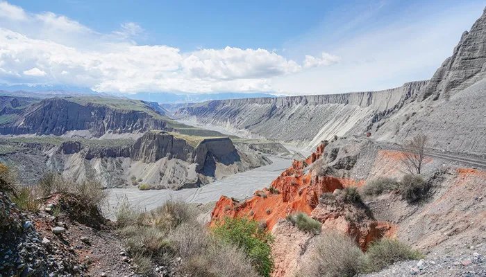 江西七朵金花是什么 七朵金花代表什么