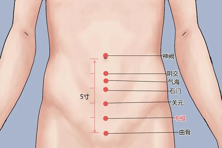 阴陵泉准确位置图和作用功效