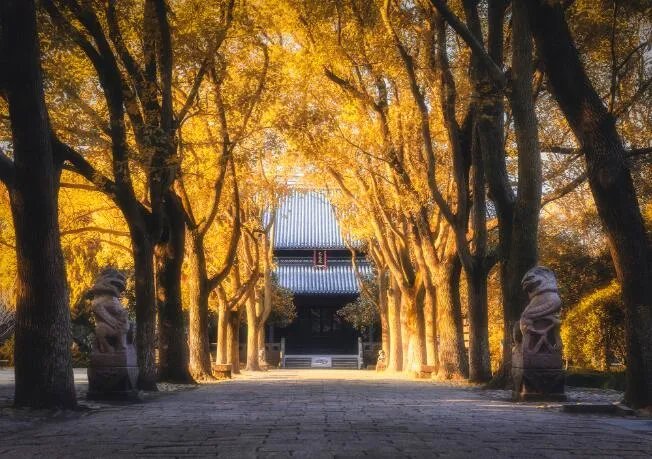 2020年立秋图片大全 立秋节气的图片景色大图2020