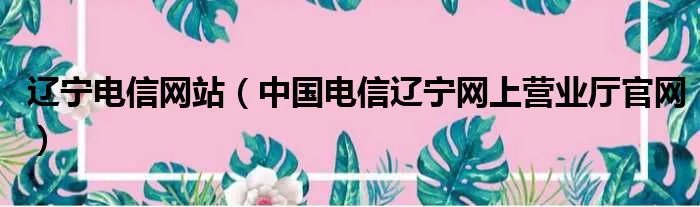 辽宁电信网站（中国电信辽宁网上营业厅官网）