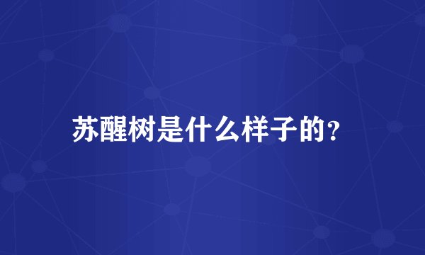 苏醒树是什么样子的？