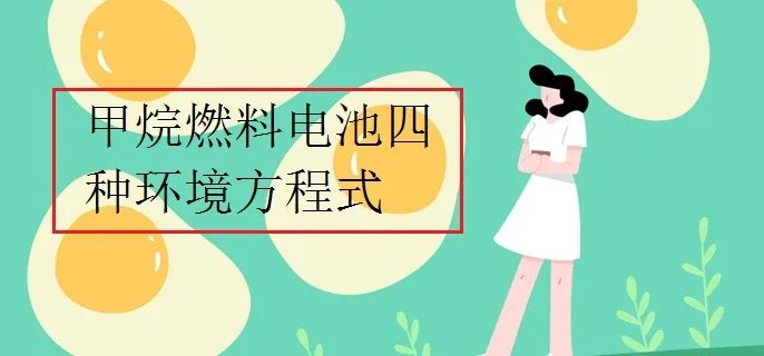 甲烷燃料电池四种环境方程式