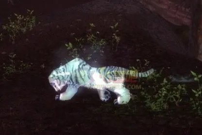 魔兽世界灵魂兽 刷新地点整理及外观点评