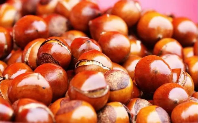 中秋节必吃的九种食物：月饼上榜，南瓜源于美好传说