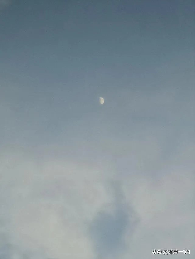 自古以来，关于七夕的诗词有很多，你最喜欢哪一首、哪一句？