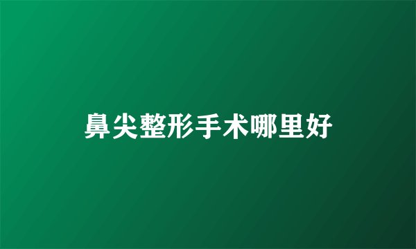 鼻尖整形手术哪里好