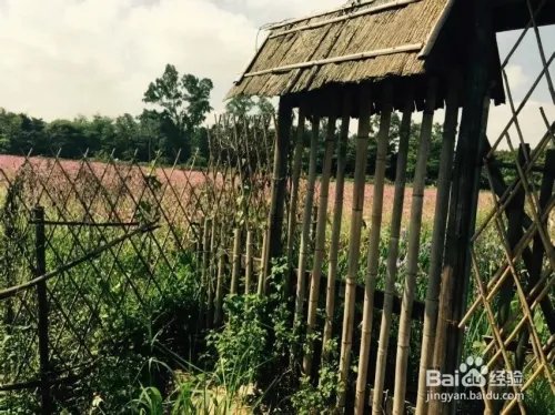 深圳观澜版画村怎么去，好不好玩？