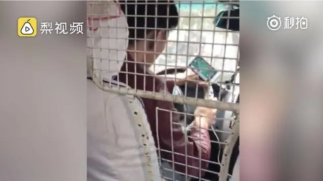 长治的哥开车玩手机，打麻将停不下来，你怎么看？