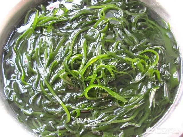 怎么挑选最鲜的海鲜？