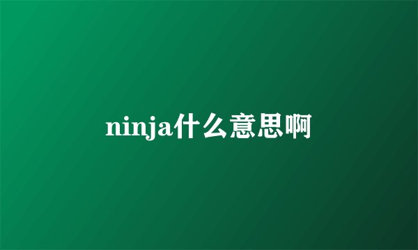 ninja什么意思啊