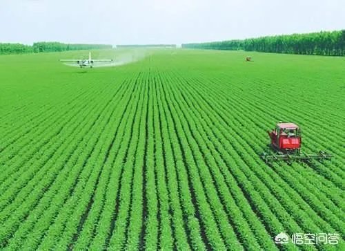 你们认为粮食价格管控会放开吗?为什么?