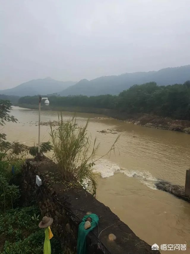 为什么有人说端午节不能说节日快乐？